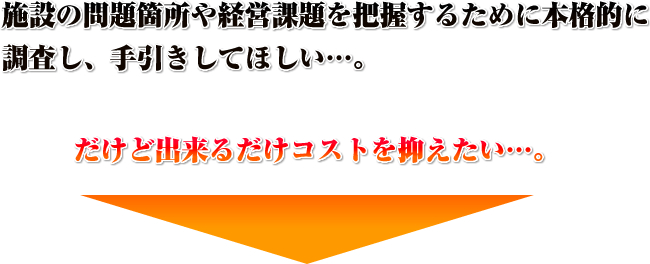 施設の問題個所やけいえいかだいをはあくする為に本格的に調査し、手引きしてほしい